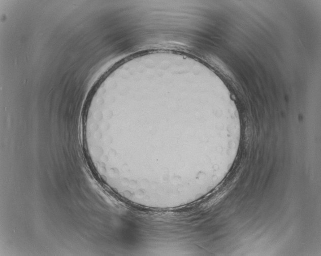 X0000060810940200512082211