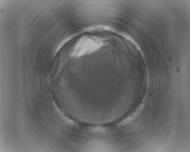 X0000060810945200512082211
