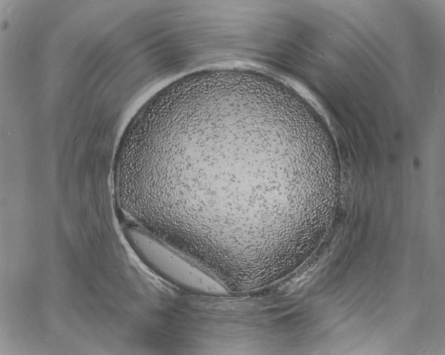 X0000060810951200512082212