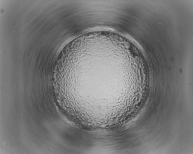 X0000060810953200512082212