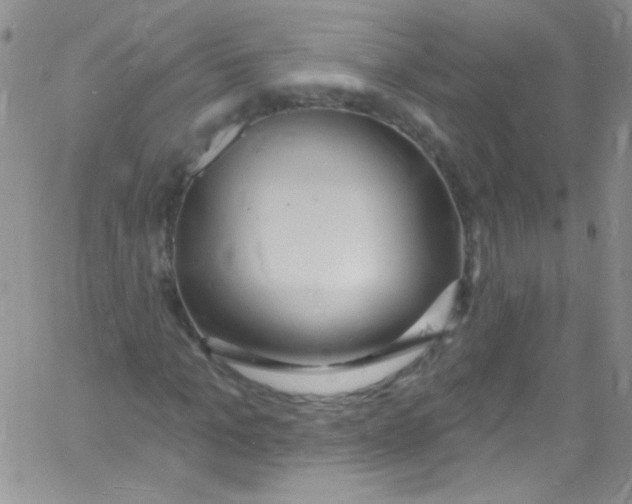 X0000060810965200512082211