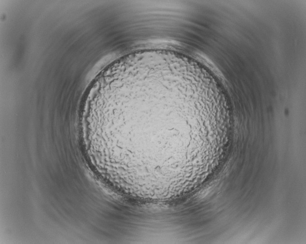 X0000060810994200512082210