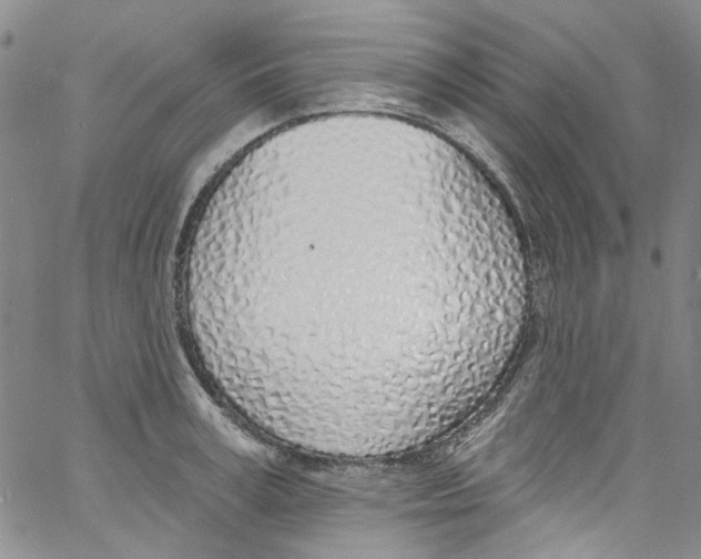 X0000060810995200512082210