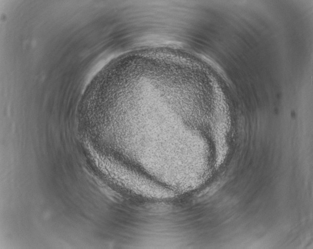 X0000060811023200512082210