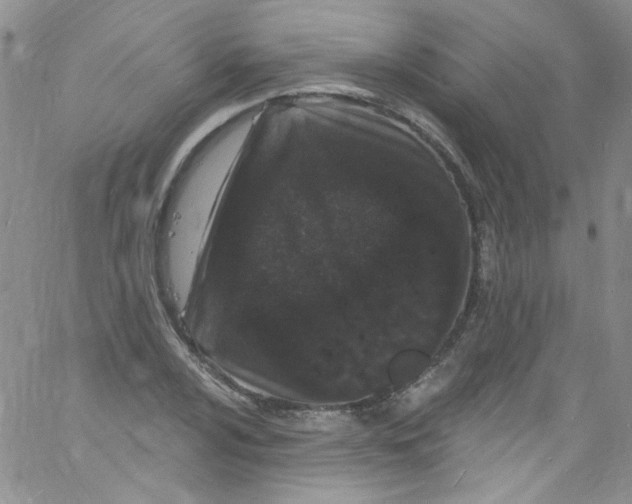 X0000060811024200512082210