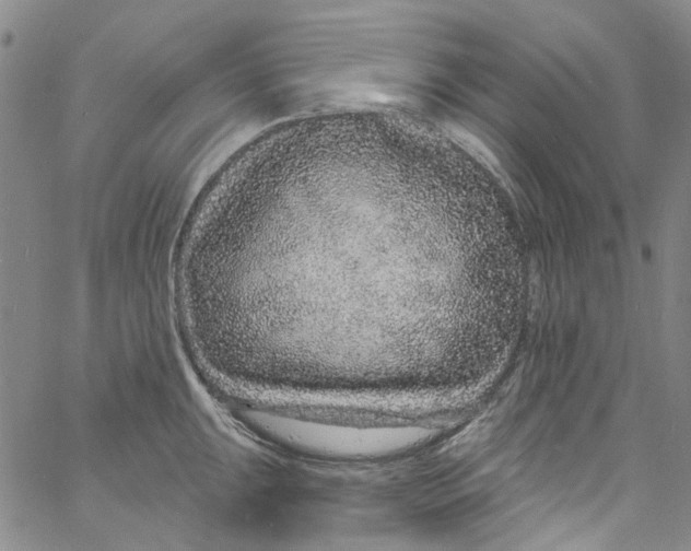 X0000060811047200512082210