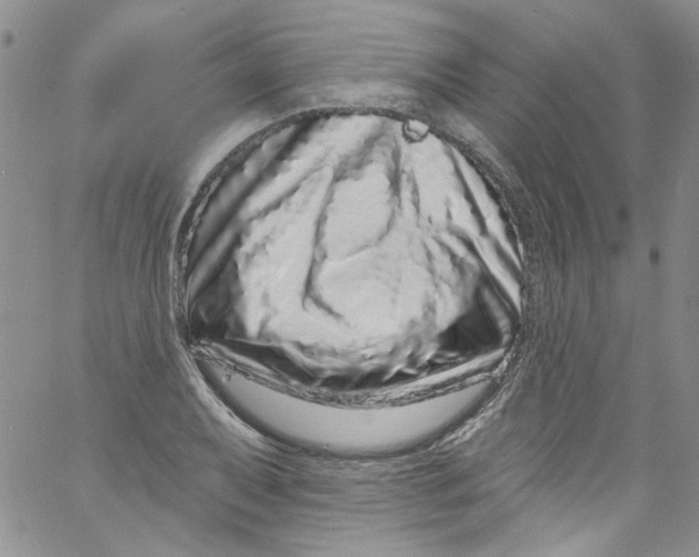 X0000060811079200512082209