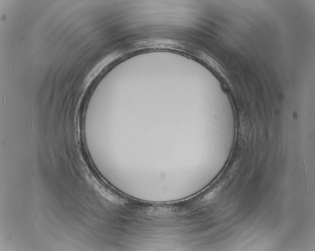 X0000060811082200512082209