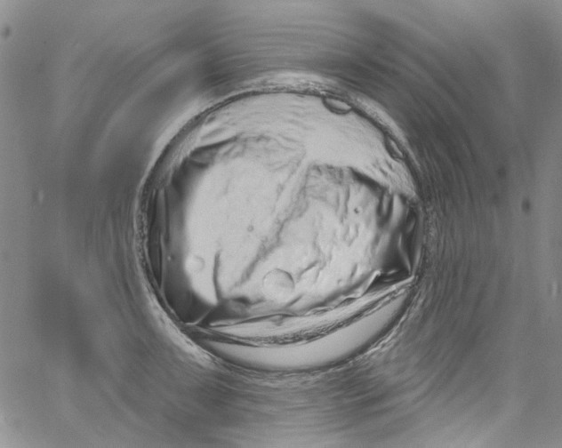 X0000060811091200512082209