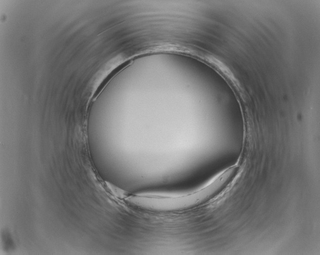 X0000060811097200512082209