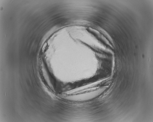X0000060811099200512082209