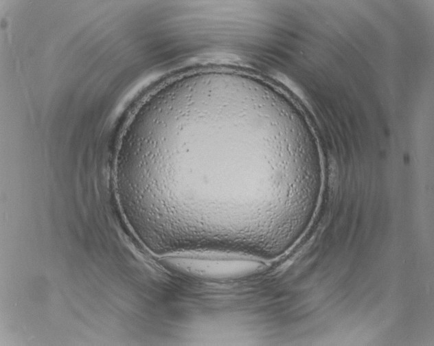 X0000060811115200512082208