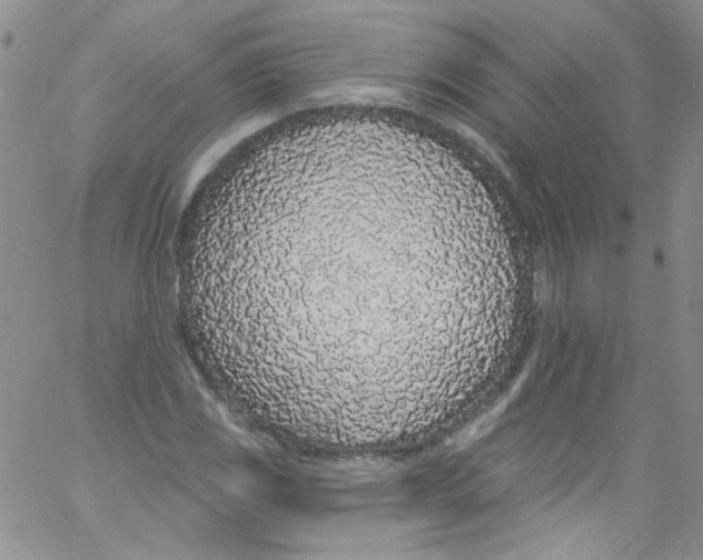 X0000060811117200512082208