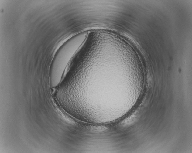 X0000060811129200512082208
