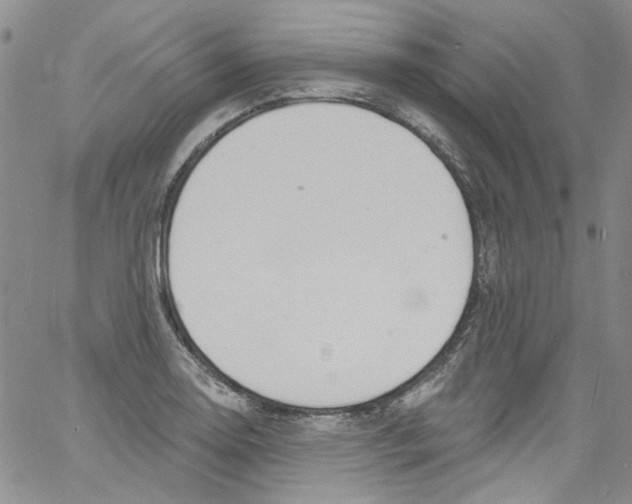 X0000060811130200512082208