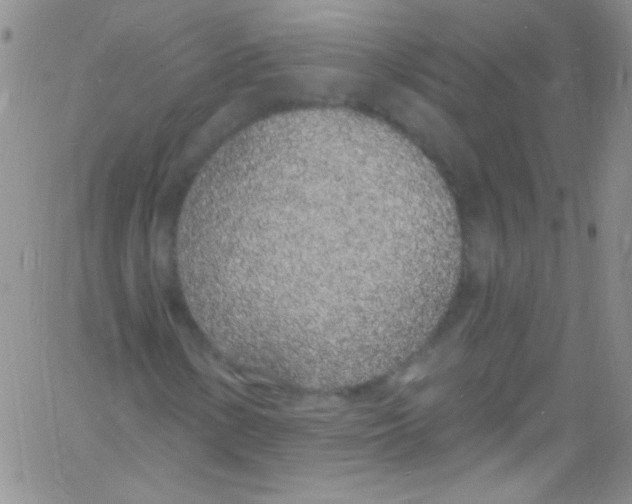 X0000060811154200512082208
