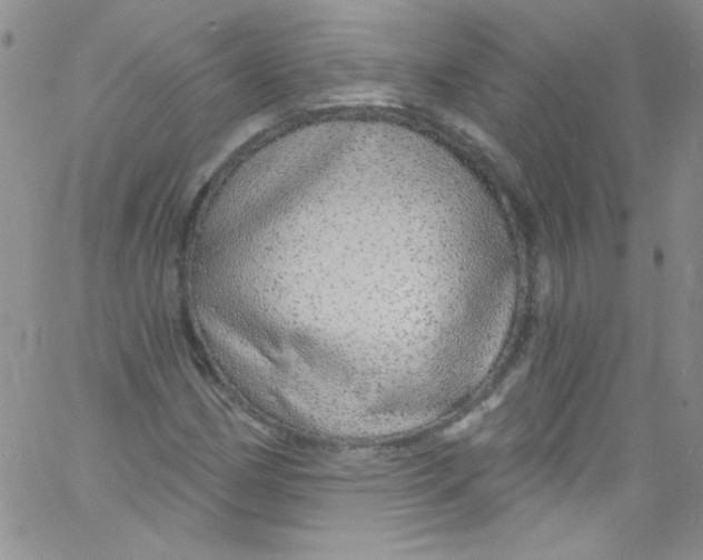 X0000060811162200512082208