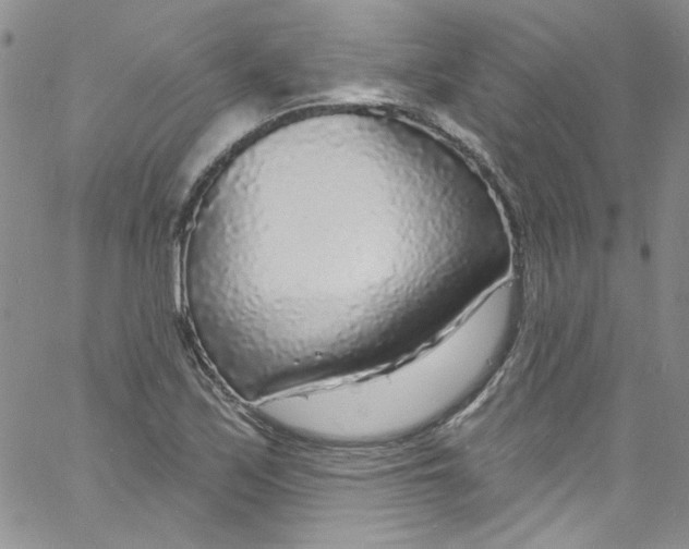 X0000060811171200512082207
