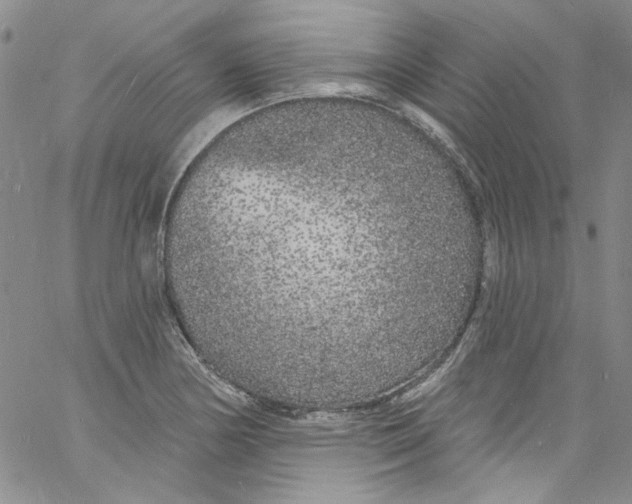 X0000060811178200512082207