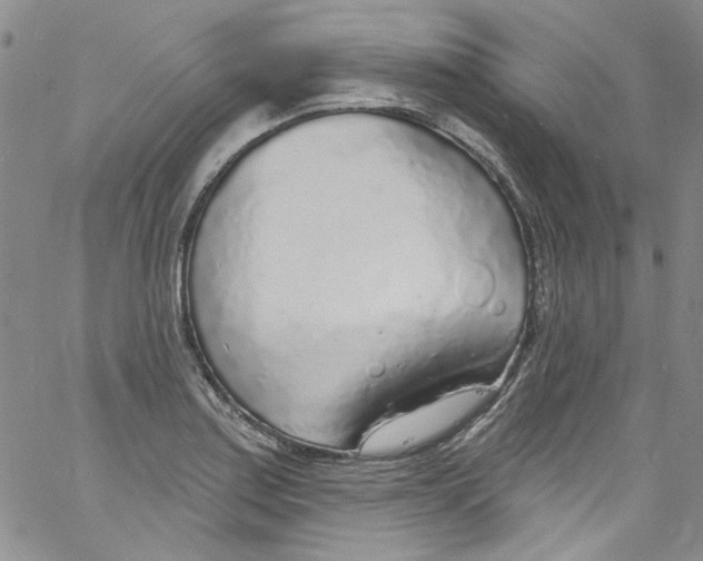 X0000060811179200512082207