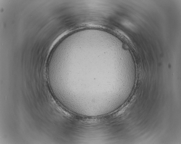 X0000060811182200512082207