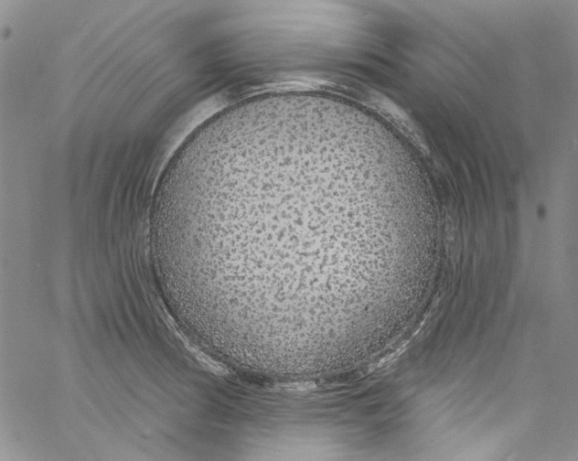 X0000060811186200512082207