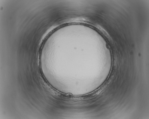 X0000060811224200512082207