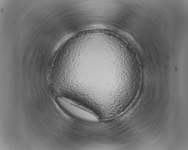 X0000060811225200512082207