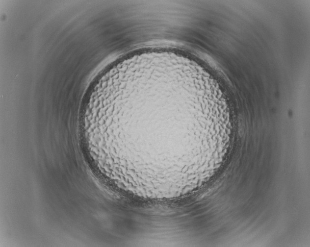 X0000060811229200512082207