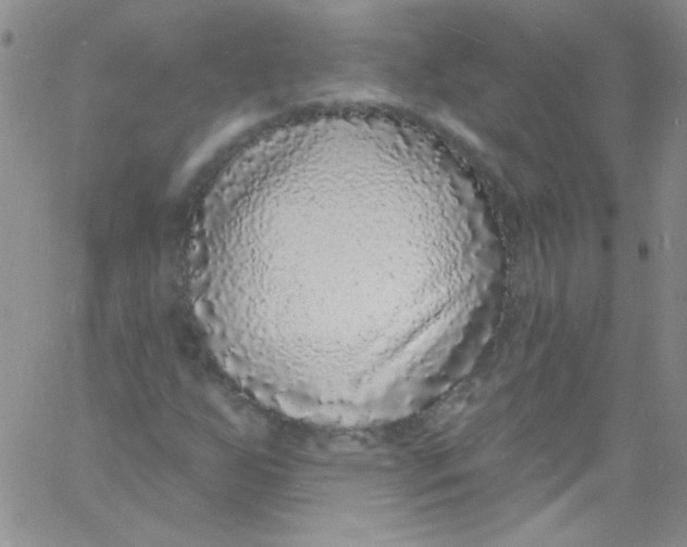 X0000060811255200512082206