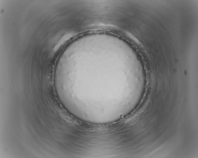 X0000060811259200512082206