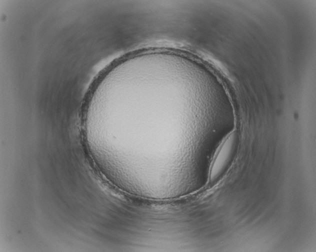 X0000060811264200512082206