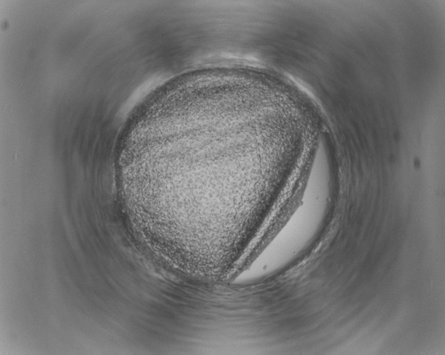 X0000060811267200512082206
