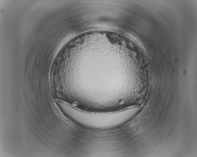 X0000060811283200512082206