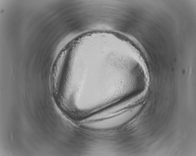 X0000060811295200512082205
