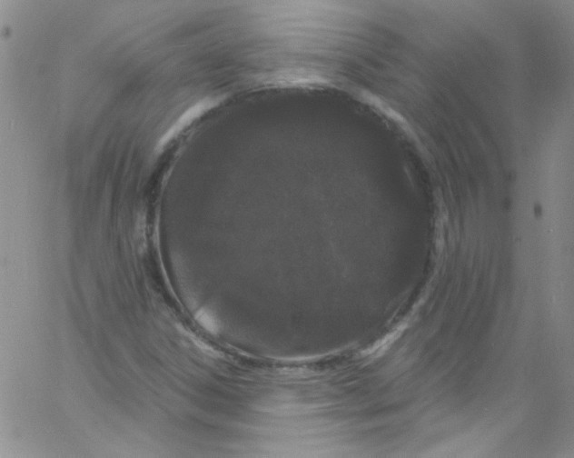 X0000060811306200512082205