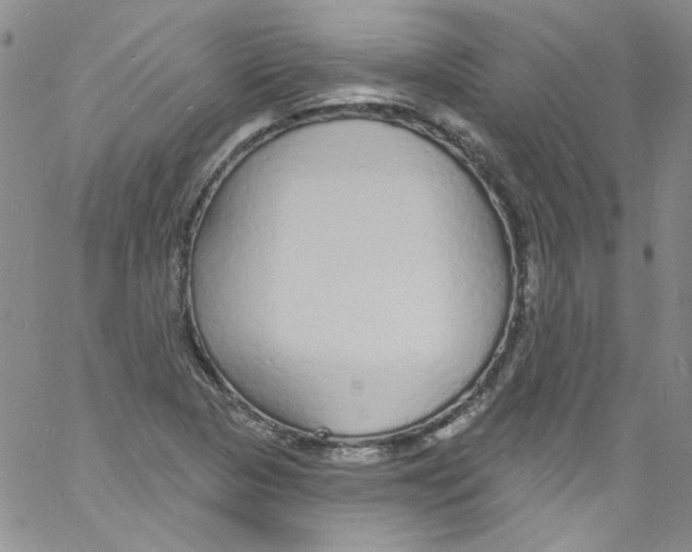 X0000060811313200512082205