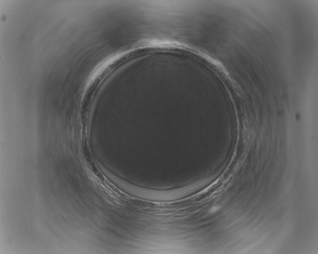 X0000060811319200512082205