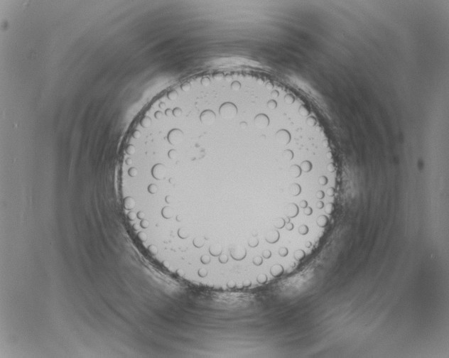 X0000060811322200512082205