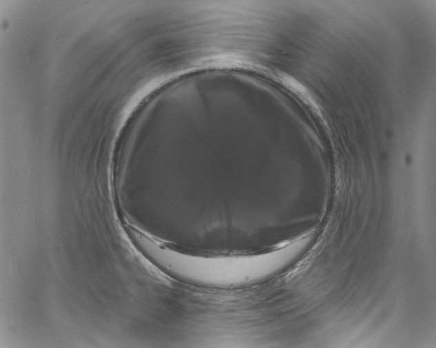 X0000060811334200512082205