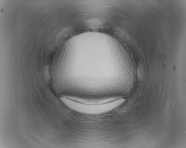 X0000060811347200512082205