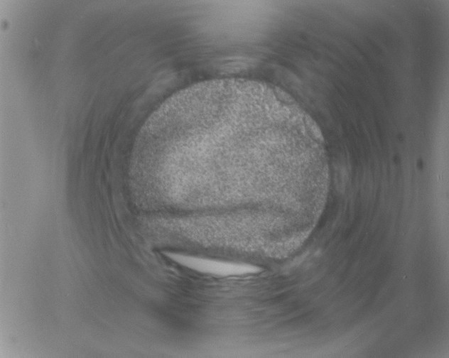 X0000060811393200512082203