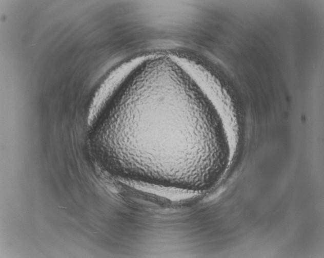X0000060811401200512082203