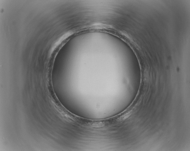 X0000060811410200512082203