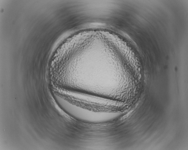 X0000060811421200512082203