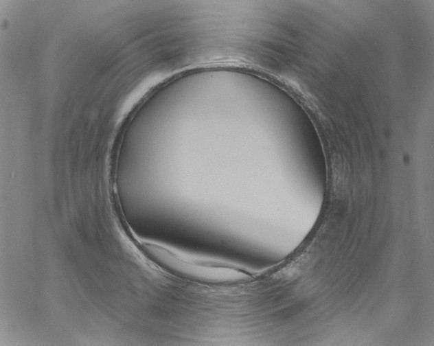 X0000060811422200512082203