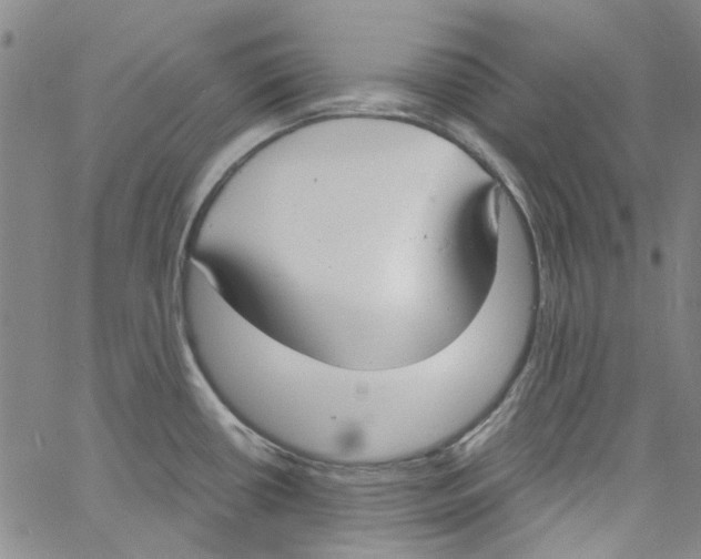 X0000060811434200512082204