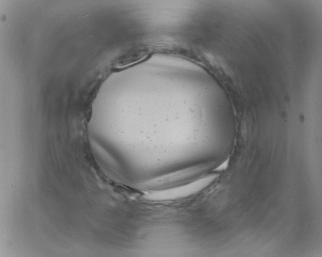 X0000060811445200512082203