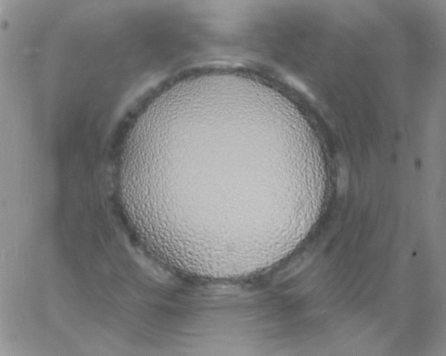 X0000060811448200512082203
