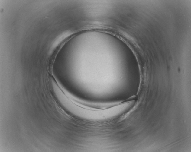 X0000060811453200512082203